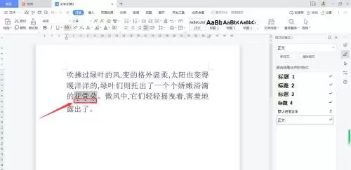 WPS Office文字添加着重号详细步骤教程_wishdown.com WPS Office文字添加着重号详细步骤教程_wishdown.com