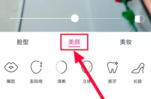 美颜相机拍出好看照片的设置方法_wishdown.com 美颜相机拍出好看照片的设置方法_wishdown.com