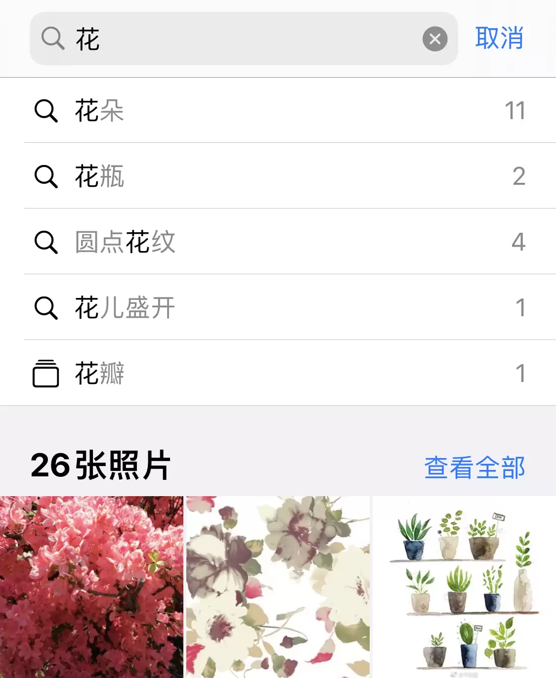 iPhone 小技巧:有效管理和整理相册 iPhone 小技巧:有效管理和整理相册