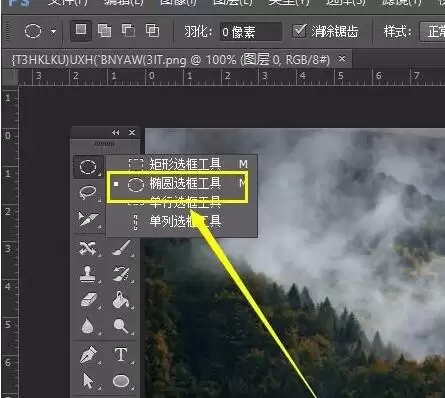 PS裁剪圆形图片的详细步骤与技巧_wishdown.com PS裁剪圆形图片的详细步骤与技巧_wishdown.com