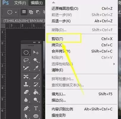 PS裁剪圆形图片的详细步骤与技巧_wishdown.com PS裁剪圆形图片的详细步骤与技巧_wishdown.com