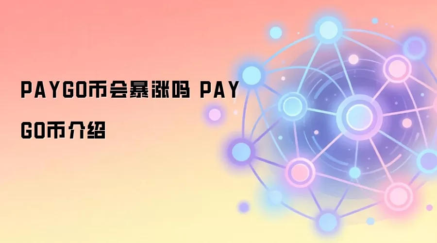 PAYGO�һᱩ���𣿴���ȫ���˽�PAYGO
