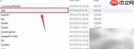 黑色沙漠STEAM汉化互转方法_wishdown.com 黑色沙漠STEAM汉化互转方法_wishdown.com