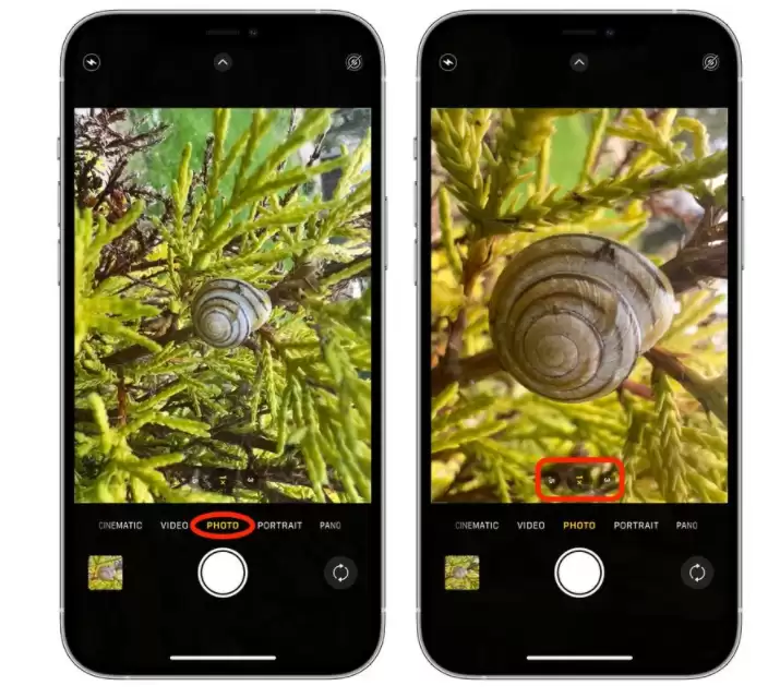 如何使用 iPhone 13 Pro/Max 微距模式进行拍摄? 如何使用 iPhone 13 Pro/Max 微距模式进行拍摄?