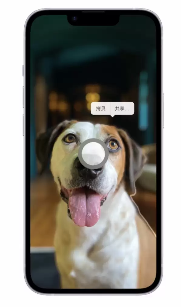 苹果官方精选:iOS 16 最实用的 5 个新功能 苹果官方精选:iOS 16 最实用的 5 个新功能