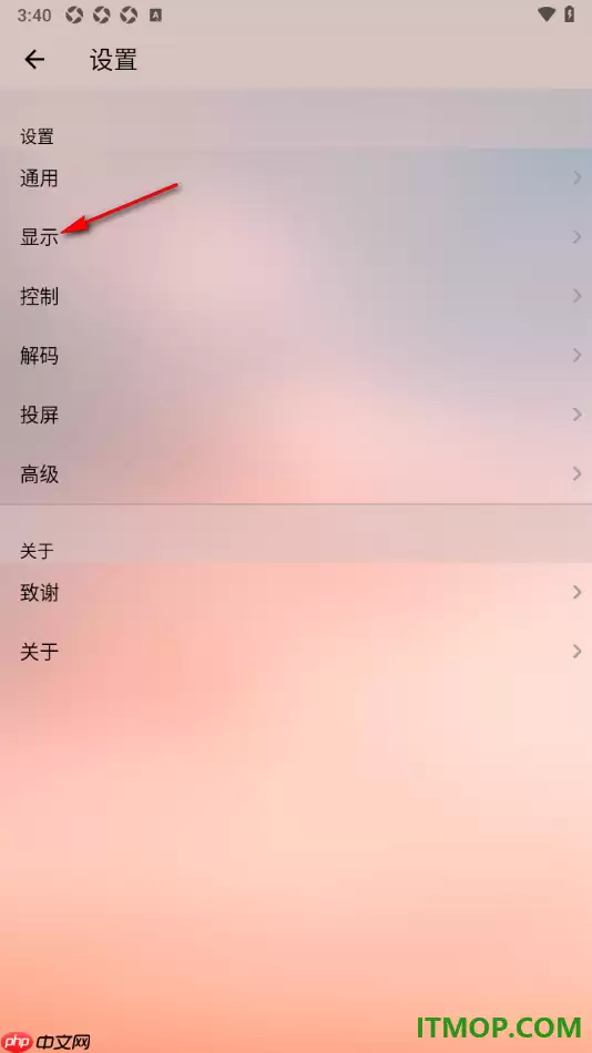 OPlayer手机版切换应用时停止播放的设置方法_wishdown.com OPlayer手机版切换应用时停止播放的设置方法_wishdown.com