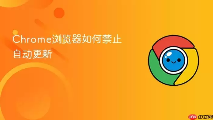 Chrome��������ý�ֹ�Զ����µľ����������