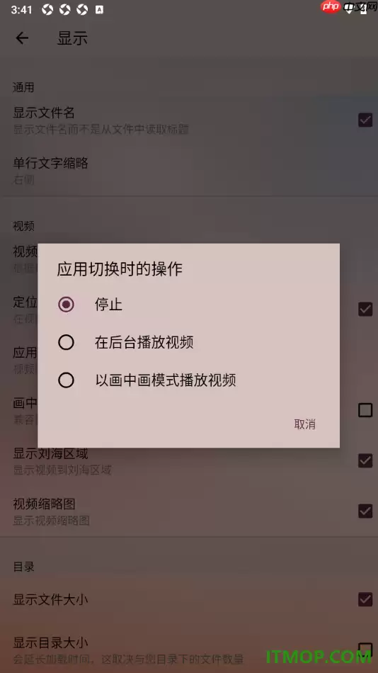 OPlayer手机版切换应用时停止播放的设置方法_wishdown.com OPlayer手机版切换应用时停止播放的设置方法_wishdown.com