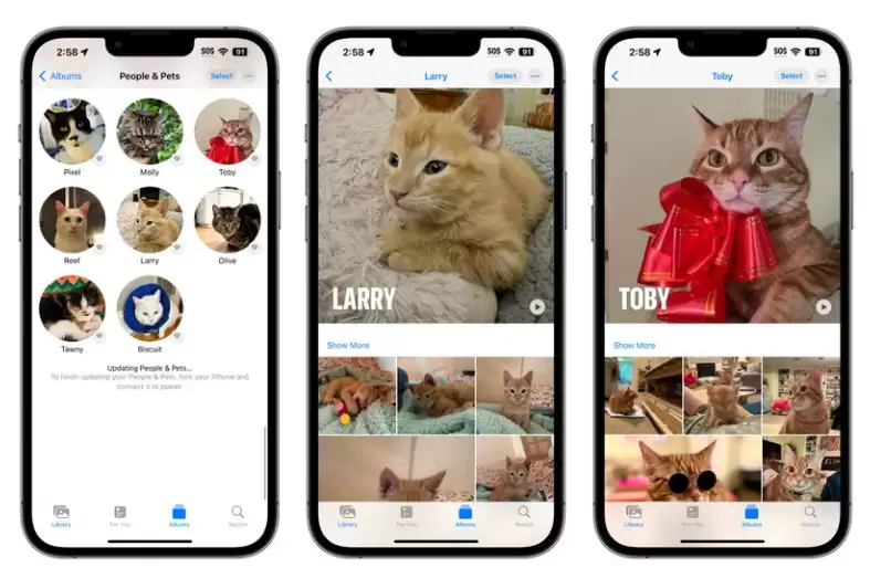 苹果 iOS 17 照片应用有哪些升级和改进? 苹果 iOS 17 照片应用有哪些升级和改进?