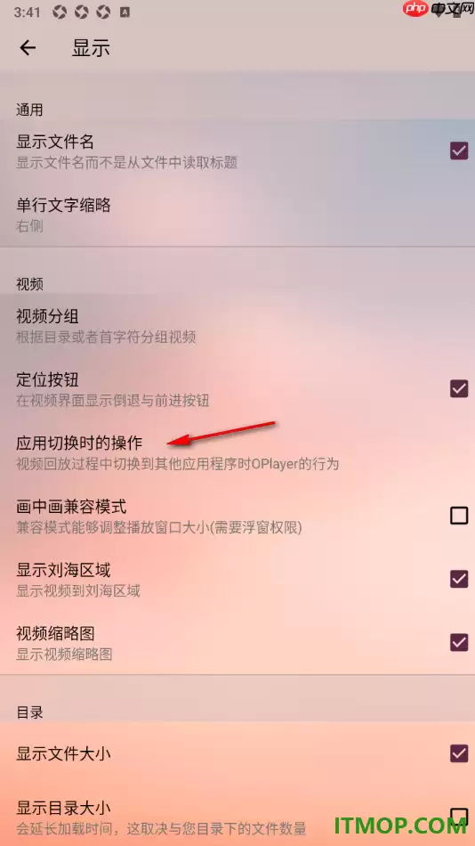 OPlayer手机版切换应用时停止播放的设置方法_wishdown.com OPlayer手机版切换应用时停止播放的设置方法_wishdown.com