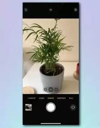 如何使用 iPhone 相机识别植物和花卉? 如何使用 iPhone 相机识别植物和花卉?