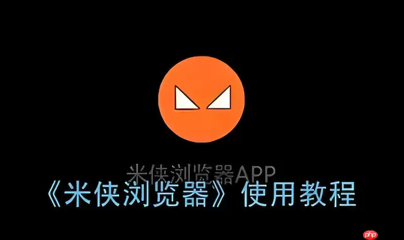 �����������ֱ��ǩ�������̳� ������������Ч��