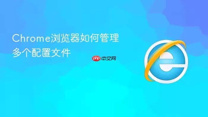 Chrome�������������ļ���������