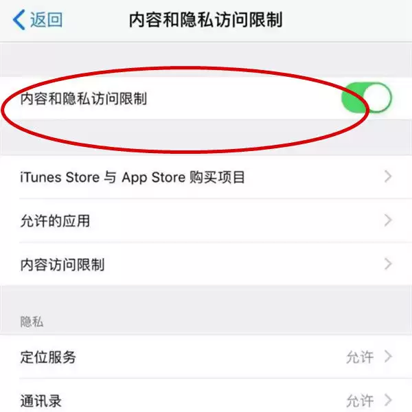 ƻ��iPhone 15 ProӦ�ü������÷���