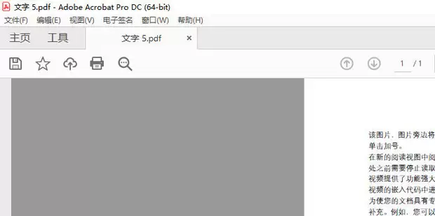 PDF�ļ���дǩ����ϸ���������뼼�ɷ���