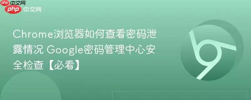 Chrome��������밲ȫ���̳� �鿴����й¶����ָ��