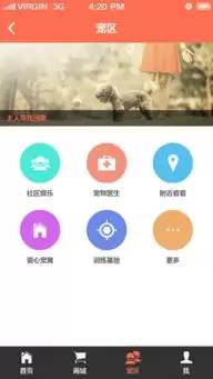 班级宠物园App几何面积计算方法_wishdown.com 班级宠物园App几何面积计算方法_wishdown.com