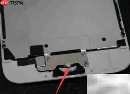 iPhone6 Home键松动修复教程_wishdown.com iPhone6 Home键松动修复方法