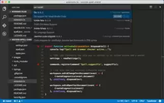Visual Studio CodeӦ�ó���ͼ��ѡ�ĸ���