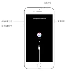 苹果手机黑屏怎么办 快速解决方法_wishdown.com 苹果手机黑屏如何解决