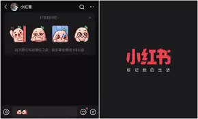 小红书私信聊天发送方法_wishdown.com 小红书怎么发送私信聊天
