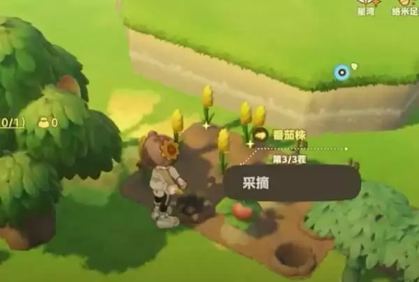 星布谷地初始星系怎么选新手必看攻略推荐_wishdown.com 星布谷地初始星系怎么选新手必看攻略推荐_wishdown.com