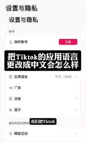 TikTok�����л��̳�