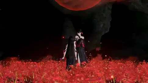 �������µ�˫�˻����赸ִ����ͼ������