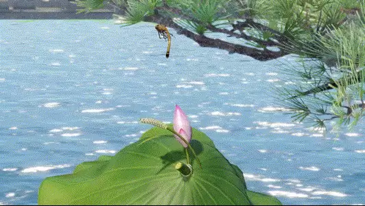 天涯明月刀手游风华蜻蜓儿来图文攻略详解_wishdown.com 《天涯明月刀》手游风华蜻蜓儿来图文展示