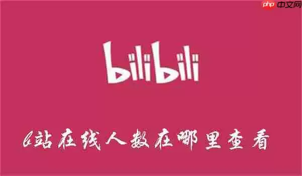 B站视频实时观看人数查看方法_wishdown.com 如何查看b站视频实时观看人数