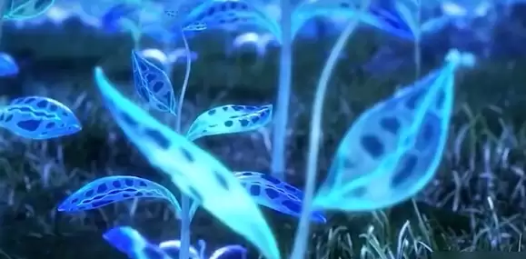 ���޴�½��а��˵���������ʵս���������
