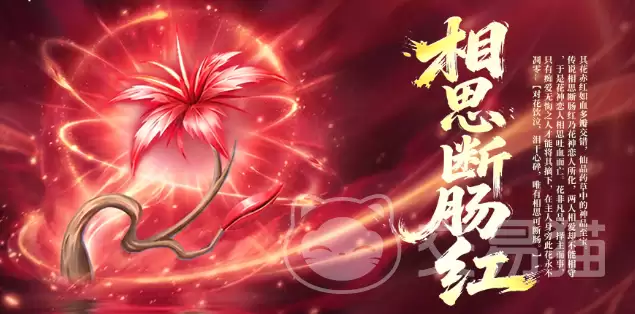 斗罗大陆诛邪传说仙草高效采集技巧_wishdown.com 斗罗大陆诛邪传说仙草高效采集技巧_wishdown.com