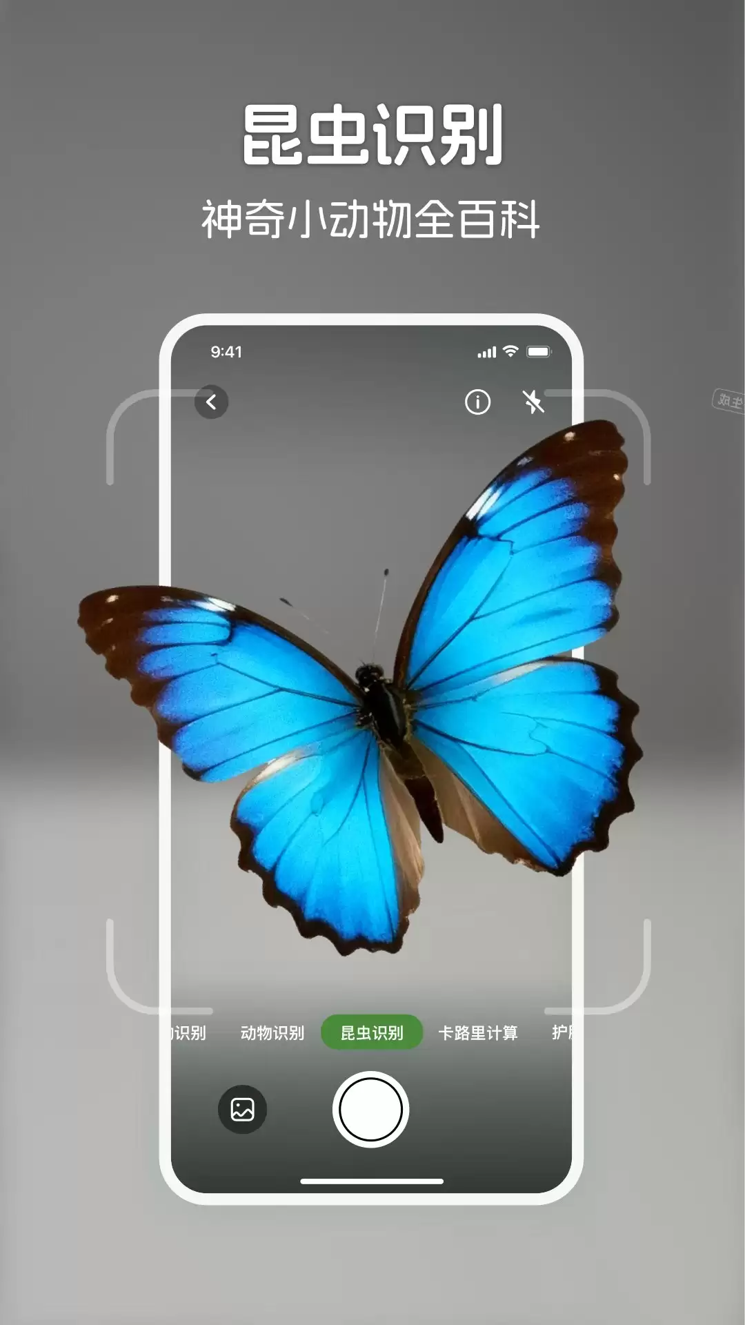 详细养花APP排行榜前十名推荐汇总_wishdown.com 详细养花APP排行榜前十名推荐汇总_wishdown.com