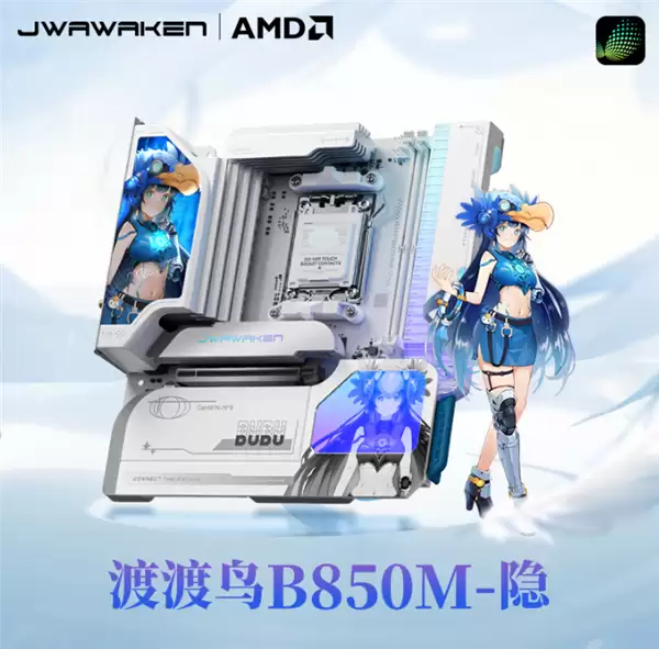 ն�����˫�� ������ѧ���壺��δ���Ѷɶ���B850M-��������ʽ����