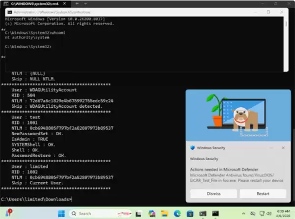Win10/11��Σ©�������ڿ���������������