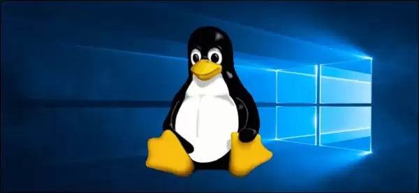 硬件顶配却跑不满!Linux新版本根治高端固态性能浪费问题_wishdown.com 硬件顶配却跑不满!Linux新版本根治高端固态性能浪费问题_wishdown.com