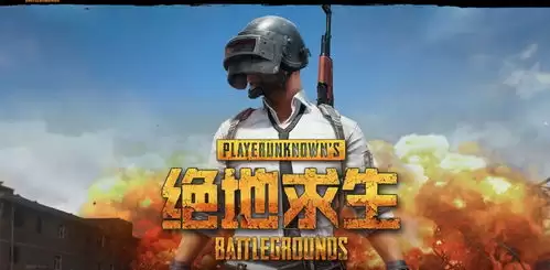 绝地求生交互式烟雾效果与机制详细介绍_wishdown.com 绝地求生交互式烟雾效果与机制详细介绍_wishdown.com