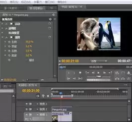 Premiere��Ƭ������Ч�����̳�