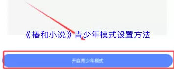椿和小说青少年模式设置步骤_wishdown.com 椿和小说如何设置青少年模式