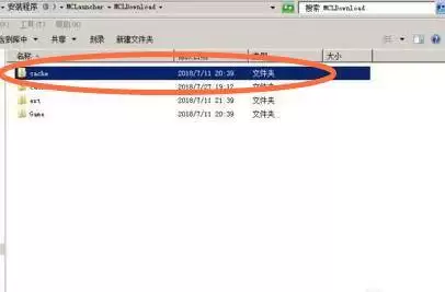 我的世界皮肤文件夹的正确名称和路径_wishdown.com 我的世界皮肤文件夹叫什么名字