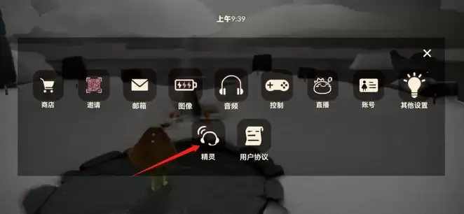 光遇游戏id在哪里看 光遇看自己的ID方法_wishdown.com 光遇游戏id在哪里看 光遇看自己的ID方法_wishdown.com