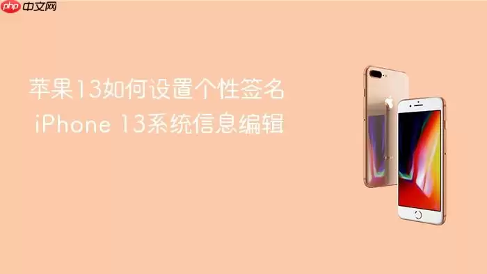 ƻ��13����ǩ��������ϵͳ��Ϣ�༭����
