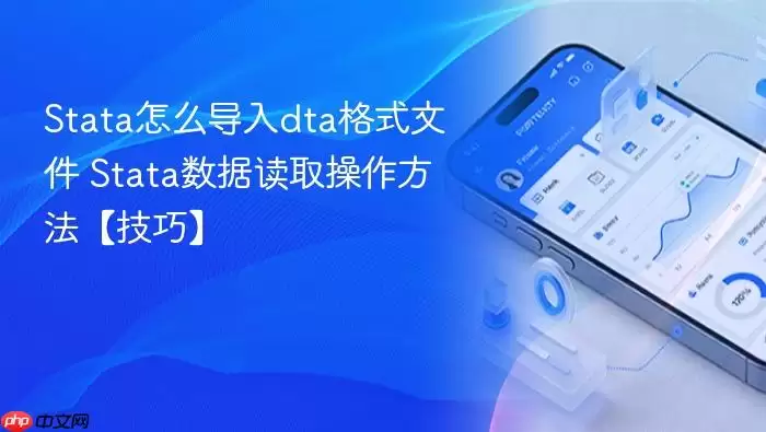 Stata导入dta文件的数据读取操作技巧_wishdown.com Stata导入示意图