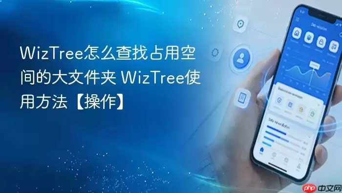WizTree查找大文件夹空间占用及使用技巧_wishdown.com WizTree查找大文件夹空间占用及使用技巧_wishdown.com