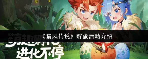 �Է紫˵��������������
