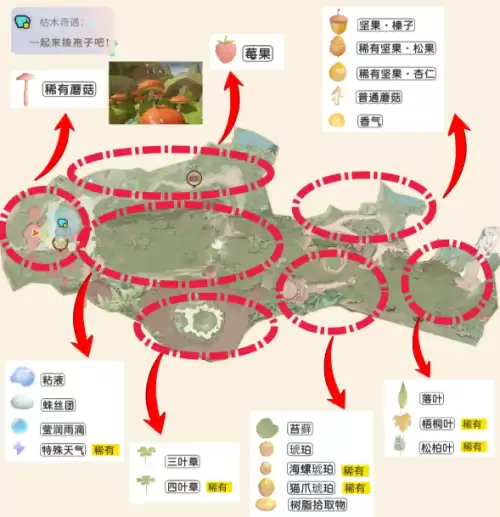 粒粒的小人国采集点有哪些 全采集点汇总 粒粒的小人国采集点有哪些 全采集点汇总