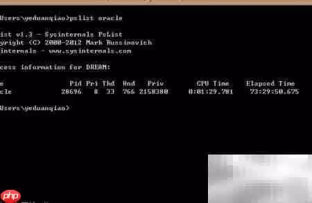 pslist运行失败闪退问题排查与解决教程_wishdown.com pslist运行失败或闪退解决