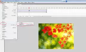 如何导出Macromedia Flash 8文件_wishdown.com 如何导出Macromedia Flash 8文件_wishdown.com