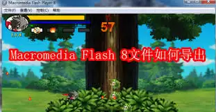 ��ε���Macromedia Flash 8�ļ�