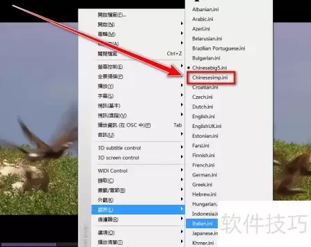KMPlayer切换简体中文设置教程_wishdown.com KMPlayer切换简体中文设置教程_wishdown.com